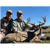 Image 1 : Coues Deer Hunt in Mexico