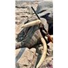 Image 15 : 7 Day Trophy Cape Buffalo Hunt in Zimbabwe for 1 hunter
