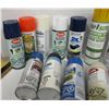Image 1 : TOTE C/W ASSORTED SPRAY PAINT