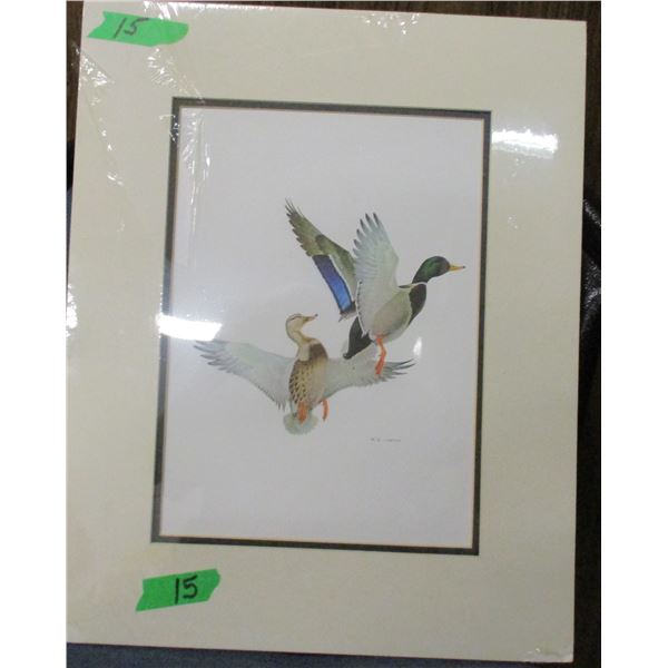 UNFRAMED PICTURE OF 2 DUCKS (APPROX. 21" X 17")