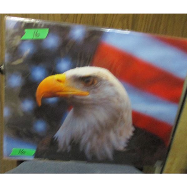 UNFRAMED PICTURE OF EAGLE HEAD (APPROX. 21" X 17")