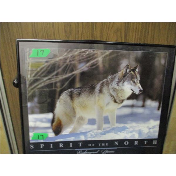 FRAMED WOLF PICTURE "SPIRIT OF THE NORTH" (APPROX. 20" X 16")