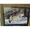 Image 1 : FRAMED WOLF PICTURE "SPIRIT OF THE NORTH" (APPROX. 20" X 16")