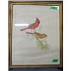 Image 1 : FRAMED PICTURE OF EASTERN CARDINAL (APPROX. 22" X 18")