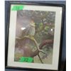 Image 1 : PICTURE OF RED HEADED FALCON BY HENRY (APPROX. 10" X 13")