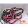 Image 2 : 4 HORSE HALTERS (WESTERN RAW HIDE)