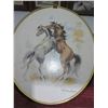 Image 3 : ESTATE:  HORSE PICTURE & SCENERY PICTURE