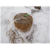 Image 1 : ESTATE:  ROLL OF TWINE