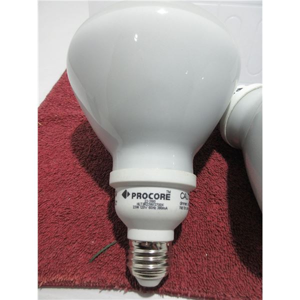 2 FLUORESCENT SELF BALLAST BULBS