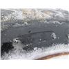 Image 6 : 4 GRADER TIRES & RIMS (14.00 X 24TG)