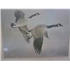Image 2 : Vintage Canada Goose Print