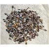 Image 1 : 6.5 Lbs Assorted Collector Spoons