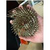 Image 4 : CEPS Coil Roofing Nails Box.