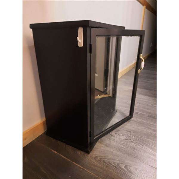 Display Cabinet with Glass Door and Makeshift Shelf