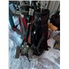 Image 8 : Golf clubs with bag.
