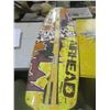Image 4 : snow board (damaged) + twisted tea tin sign