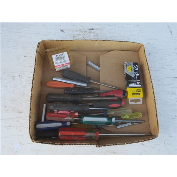 lot of screw drivers