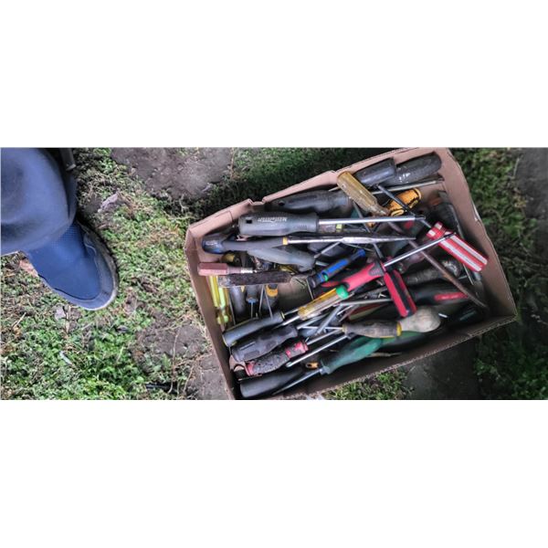 box of screwdrivers
