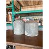 Image 4 : 2- 1 gal galvanized gas cans