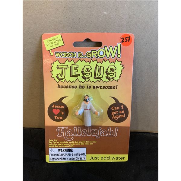 Watch it Grow! Jesus Figure