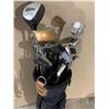 Image 3 : Lot of 15 Golf Clubs + Bag + Golf Ball Picker