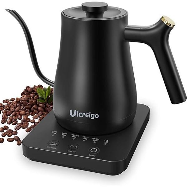 Electric kettle with precise temperature control