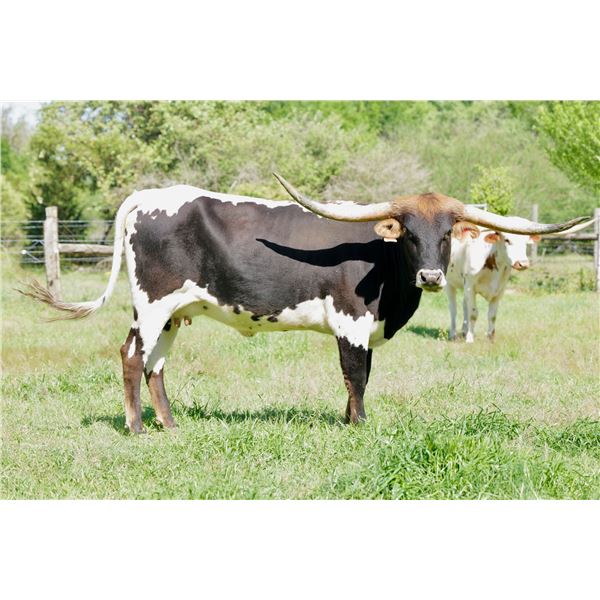 BCR Princess of Castile 140