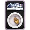 Image 2 : 8.68 Gram Caborca Sonora Mexico Gold Nugget NGC Vaultbox Unvaulted