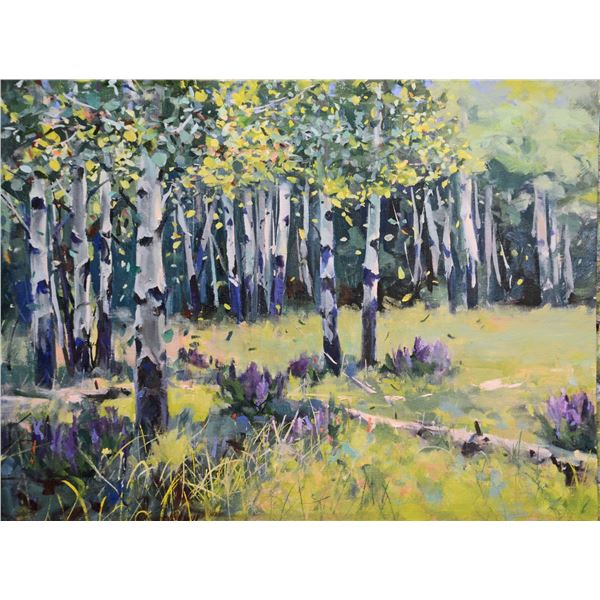 Aspen Meadow by Mike Wise