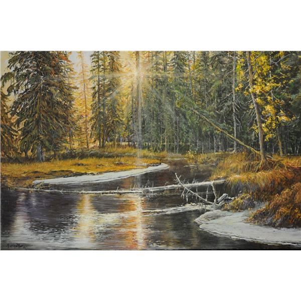 Shimmering Morning by Mathew Wong