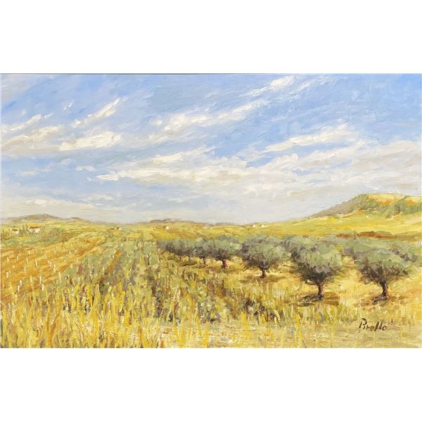 Sicilian Olive Grove by Dennis Pirello
