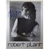 Image 1 : Robert Plant signed promo photo