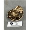 Image 1 : 3.5" Ammonite Fossil Specimen Retails $400.00