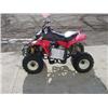 Image 1 : 2004 Kazuma  ATV