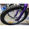 Image 3 : Purple CCM approx. 1- spd bike & Storm Supercycle, 15 spd bicycle, Good condition