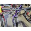 Image 5 : Purple CCM approx. 1- spd bike & Storm Supercycle, 15 spd bicycle, Good condition