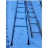 Image 3 : 2- Alum. Ladders
