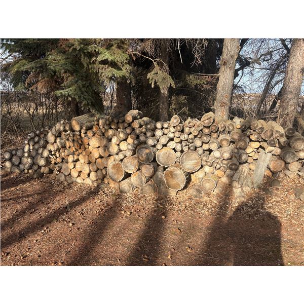 1- Lot of mixed fire wood, Buyer responsible to load