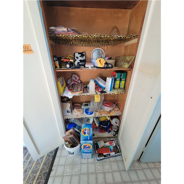 Contents of Closet, cleaning items, toys, award plaques etc.