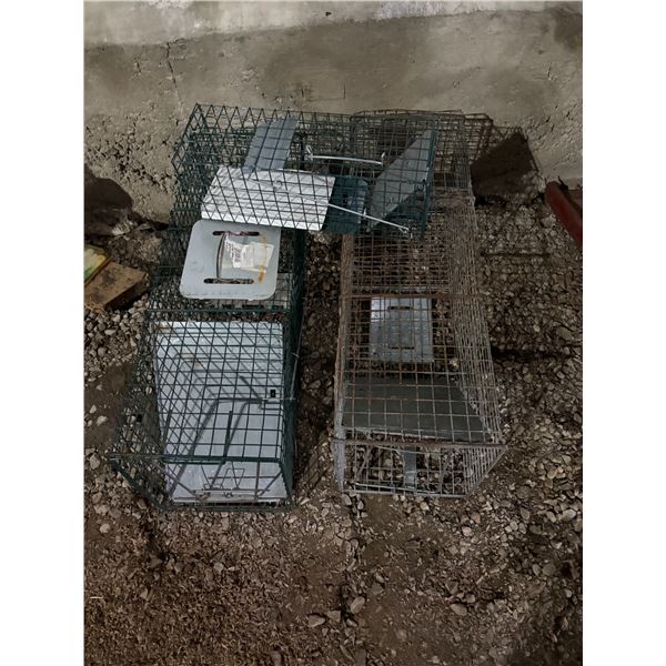 3- Rodent traps