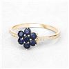 10KT Yellow Gold 0.45ctw Blue Sapphire and White Diamond Ring