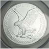 Image 4 : 2024 American Silver Eagle CAC MS70 First Delivery