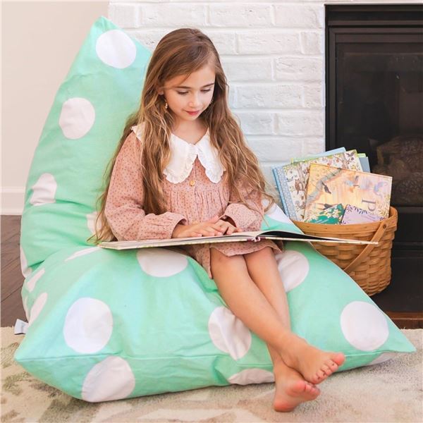5 Boxes of NEW Butterfly Craze Bean Bag Chair Cover (Quantity -   12 in box) Total Quantity 60