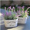 Image 1 : 10 Boxes of Butterfly Craze Artificial Lavender Plants in Rustic Wooden Planters - Lifelike, Stunnin