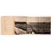 Image 8 : Deutschland Erwacht (Germany Wakes Up) by Wilfrid Bade 1933 [182423]