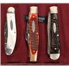 Image 1 : Case Folder Knives (3) [187111]