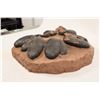 Image 2 : Dinosaur Egg Nest Replica [181150]