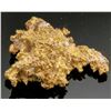 Image 1 : Placer Gold in Quartz Specimen, Caribou Creek Alaska [189478]