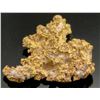 Image 2 : Placer Gold in Quartz Specimen, Caribou Creek Alaska [189478]