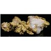 Image 1 : Gold in Quartz, 16:1 Mine [189624]